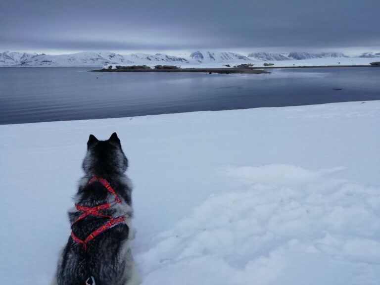 Svalbard_Francesco_De_Rovere_UNI-VE_2021_4160x3120
